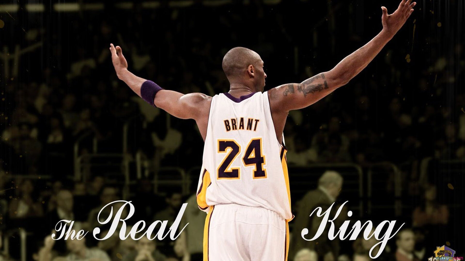 蒂贾内·萨卢恩在NBA夏季联赛中表现亮眼，萨内蒂职业生涯